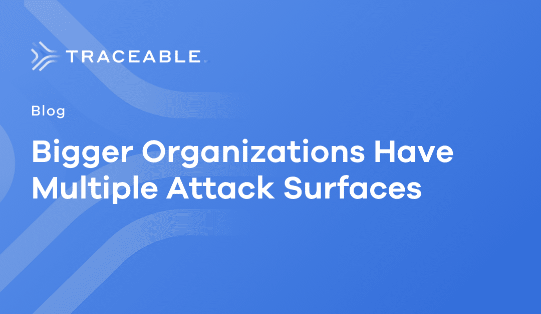 Bigger Organizations Have Multiple Attack Surfaces