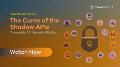 The Curse of the Shadow APIs: Traceable Technical Demo